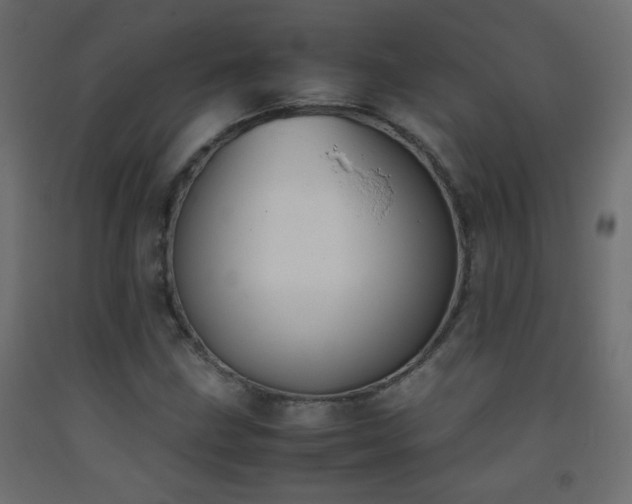X0000093391211200710111509
