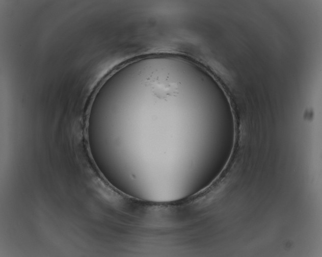 X0000093391212200710111509