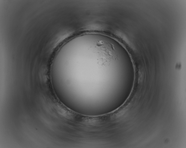 X0000093391213200710111509