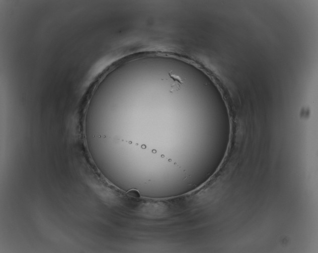 X0000093391215200710111509
