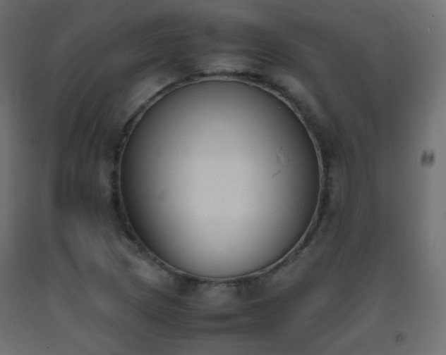 X0000093391217200710111509