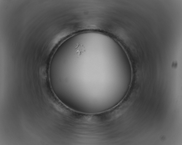 X0000093391218200710111509