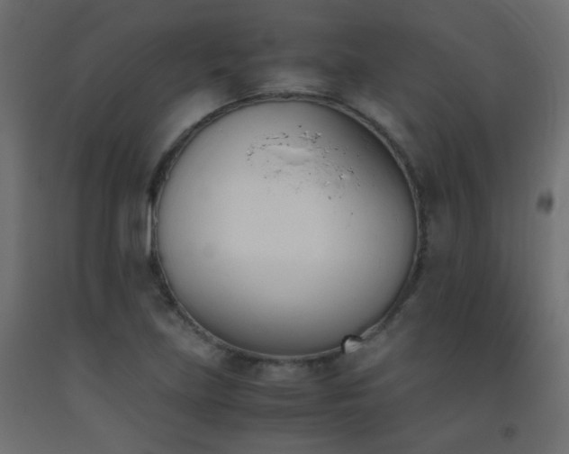 X0000093391219200710111509