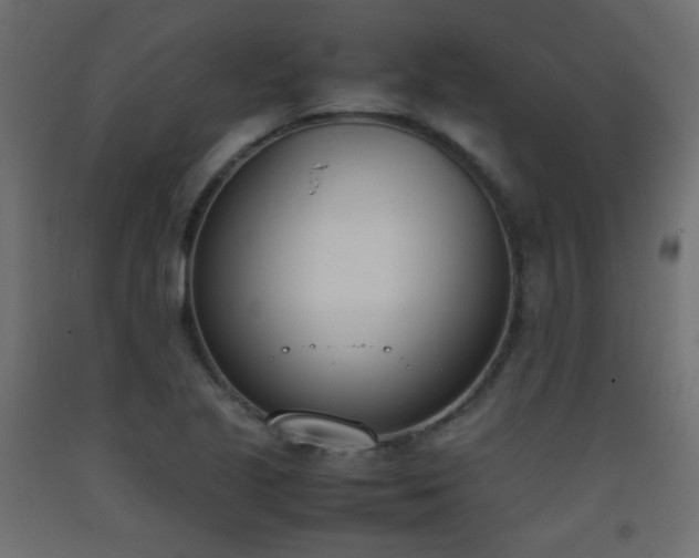 X0000093391221200710111509