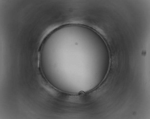 X0000093391223200710111509