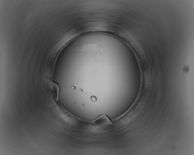 X0000093391225200710111509