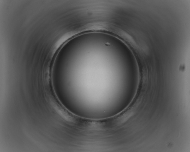 X0000093391226200710111509