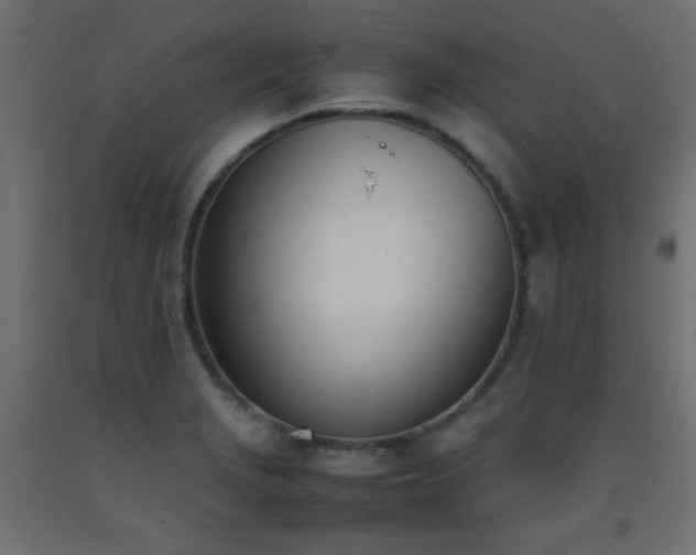 X0000093391229200710111509