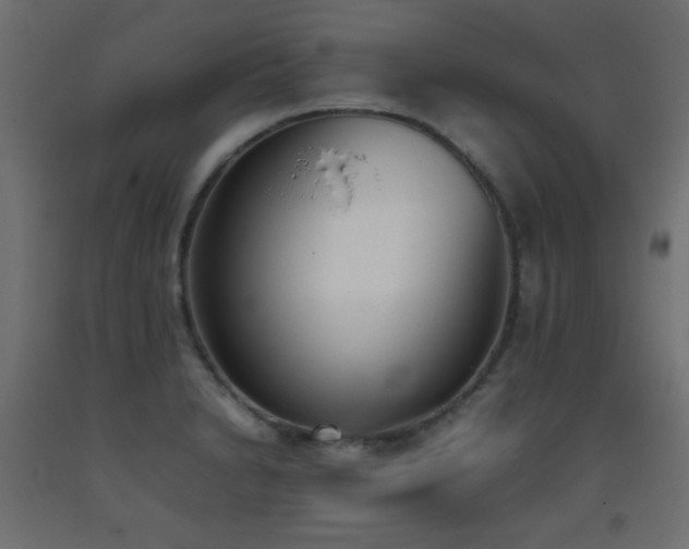 X0000093391230200710111509