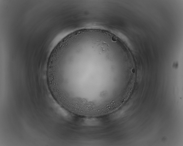 X0000093391231200710111509