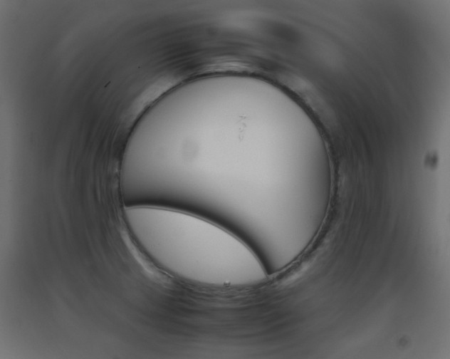 X0000093391233200710111509