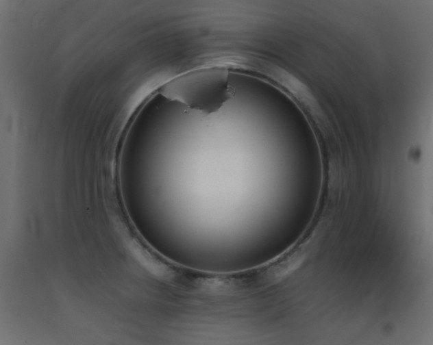 X0000093391234200710111509