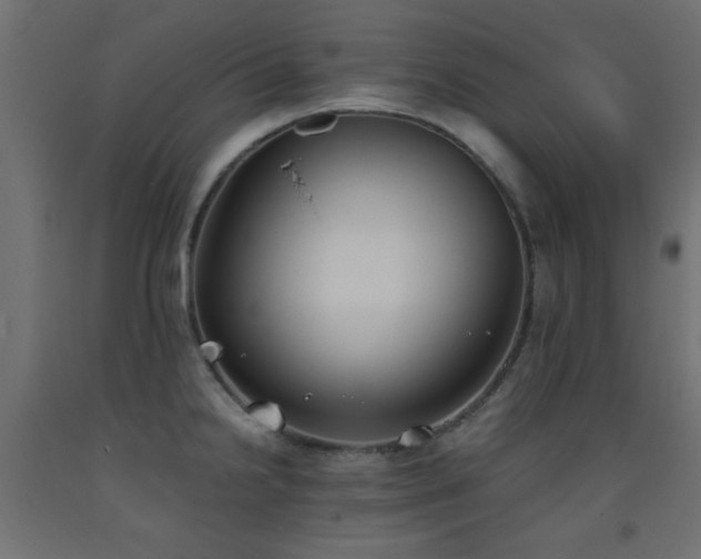 X0000093391238200710111509