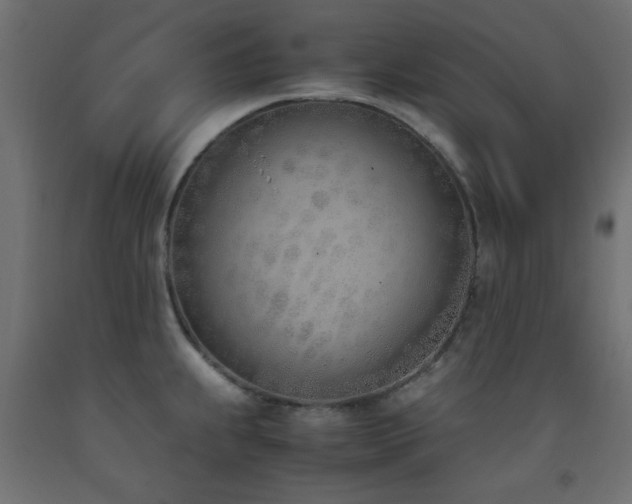 X0000093391239200710111509