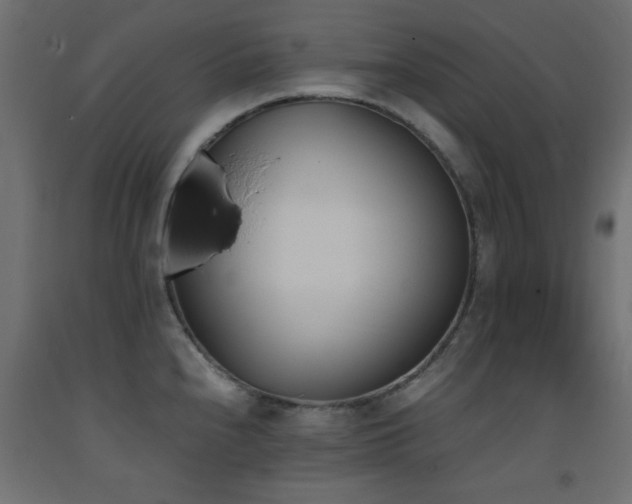 X0000093391240200710111509