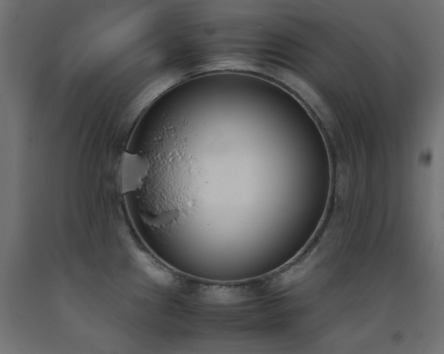 X0000093391241200710111509