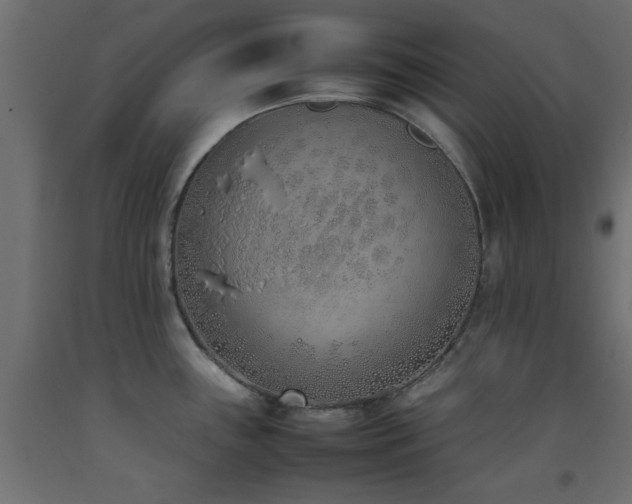 X0000093391243200710111509