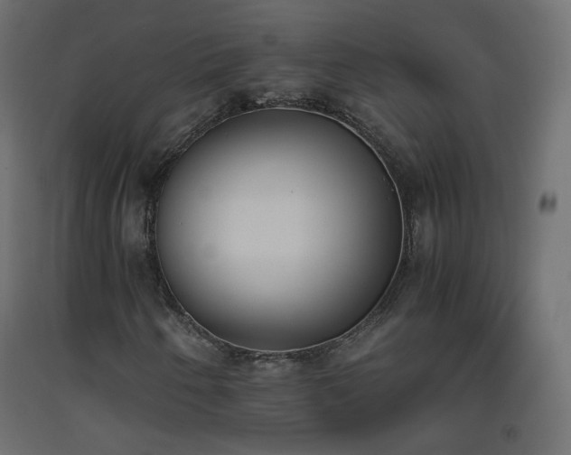X0000093391250200710111508