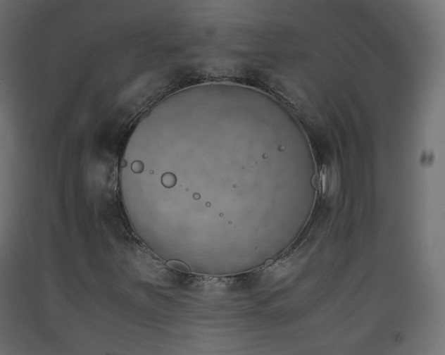 X0000093391251200710111508