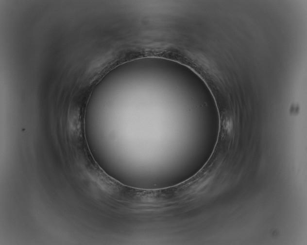 X0000093391252200710111508