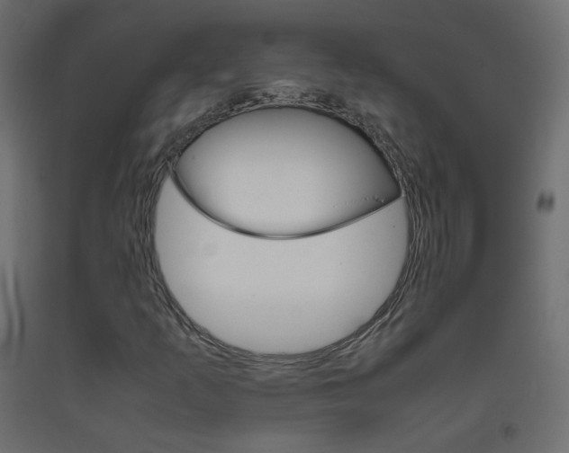 X0000093391253200710111508