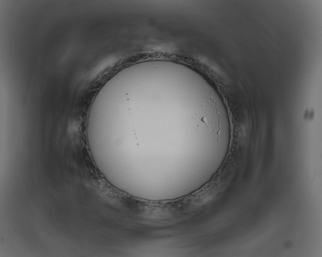 X0000093391254200710111508
