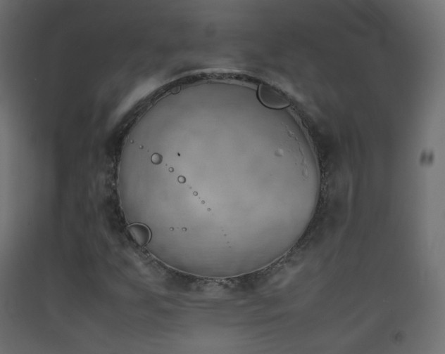 X0000093391255200710111508