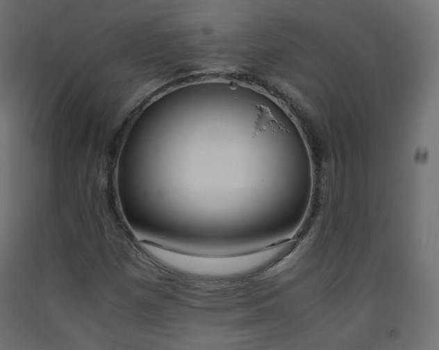 X0000093391257200710111508