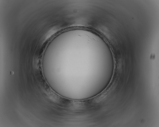 X0000093391258200710111508