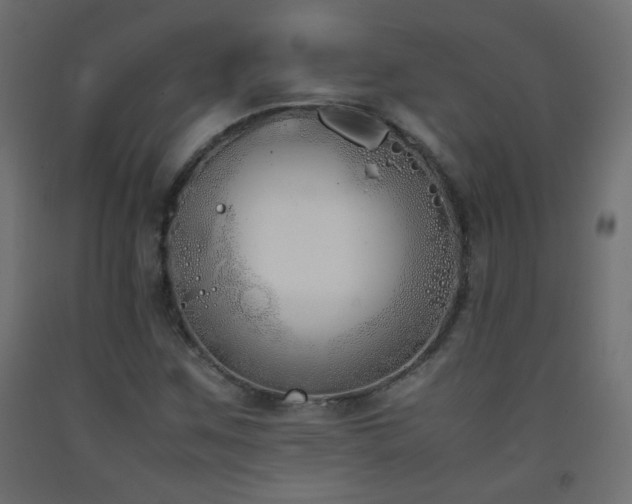 X0000093391259200710111508