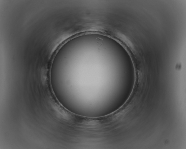 X0000093391260200710111508