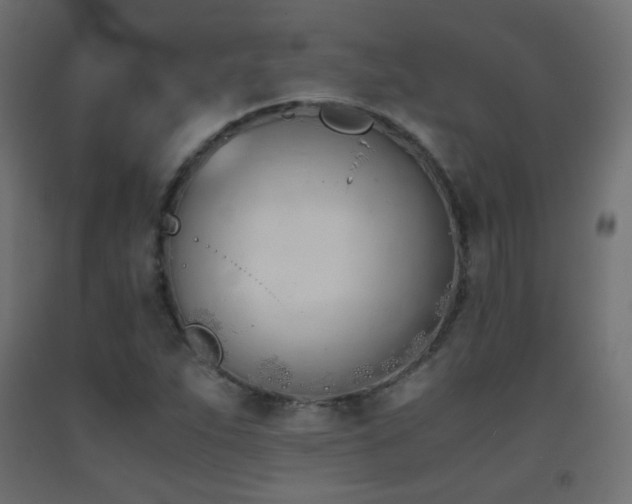 X0000093391263200710111508