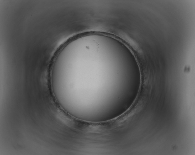 X0000093391264200710111508
