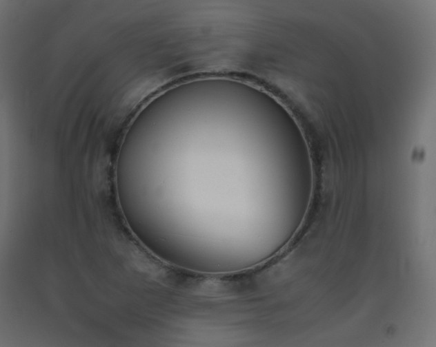 X0000093391265200710111508