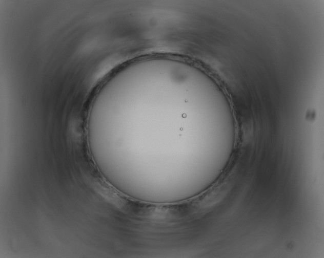 X0000093391266200710111508