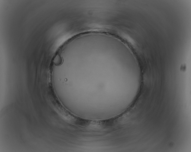 X0000093391267200710111508