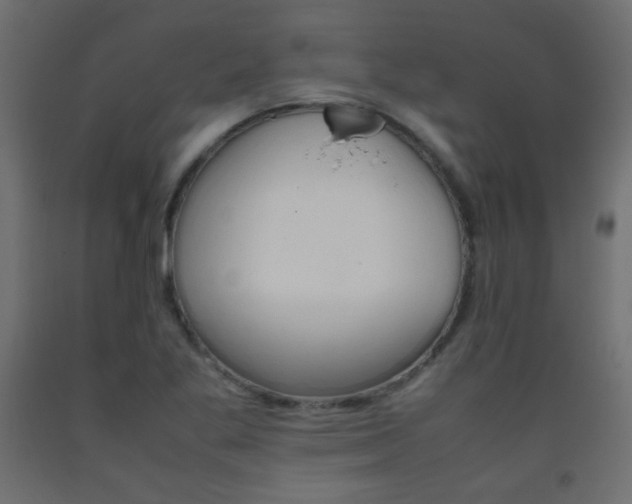 X0000093391269200710111508