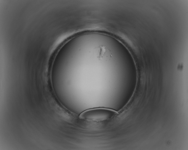 X0000093391270200710111508