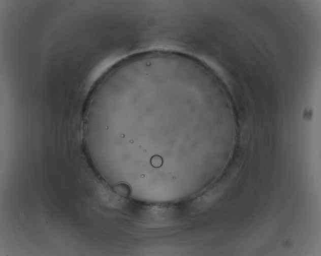 X0000093391271200710111508