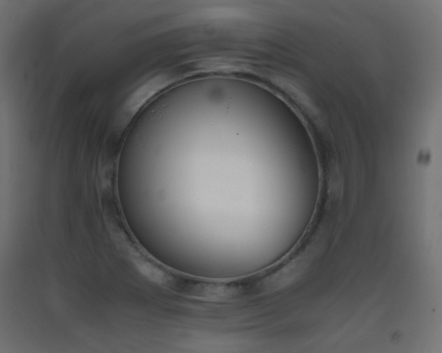 X0000093391273200710111508