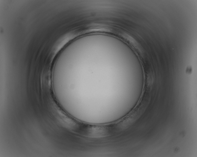 X0000093391274200710111508