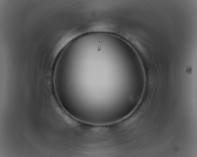 X0000093391277200710111508