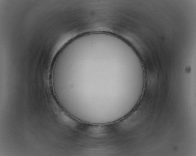 X0000093391278200710111508