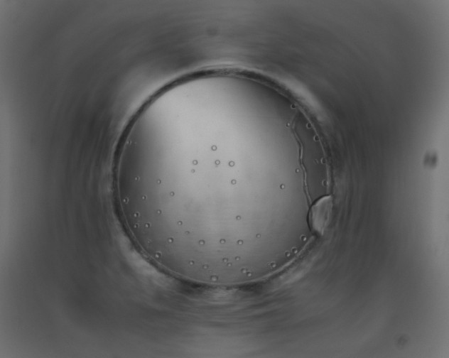 X0000093391279200710111508