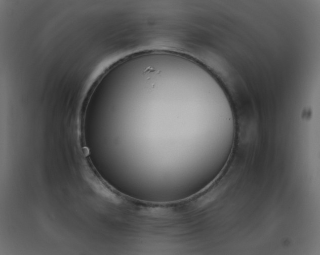 X0000093391280200710111508