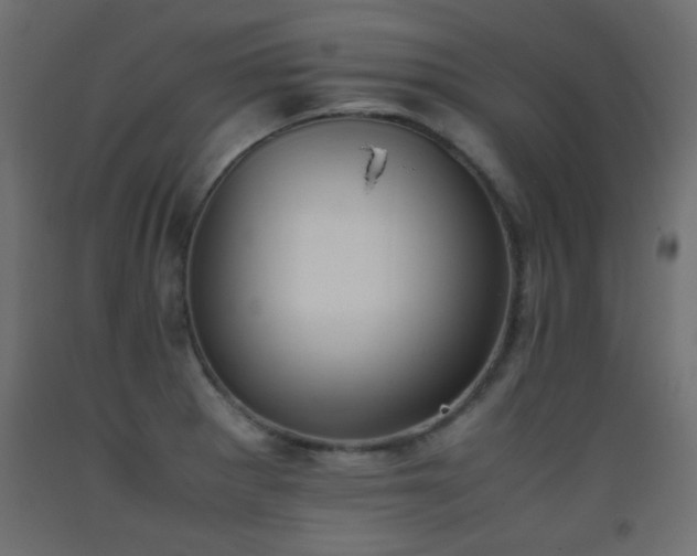 X0000093391281200710111508
