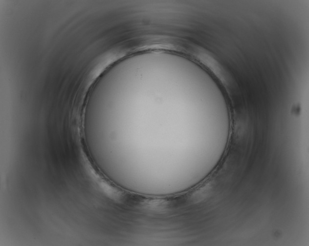 X0000093391282200710111508