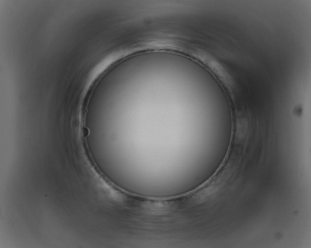 X0000093391286200710111508