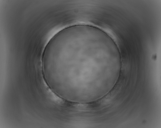 X0000093391287200710111508