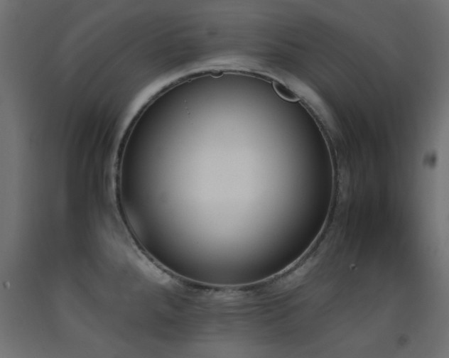 X0000093391288200710111508